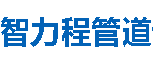 智力程管道分公司